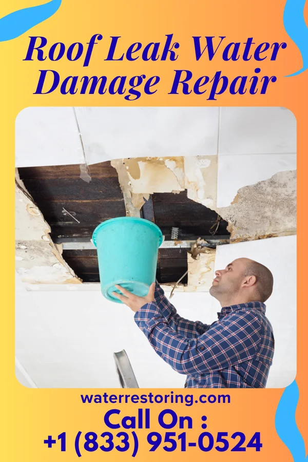Roof Leak Water Damage Repair in Clifton, TX
